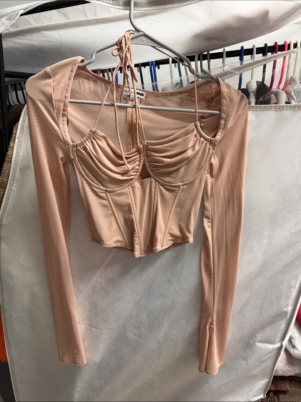 Fashion Nova Blush Long Sleeve Corset Crop Top